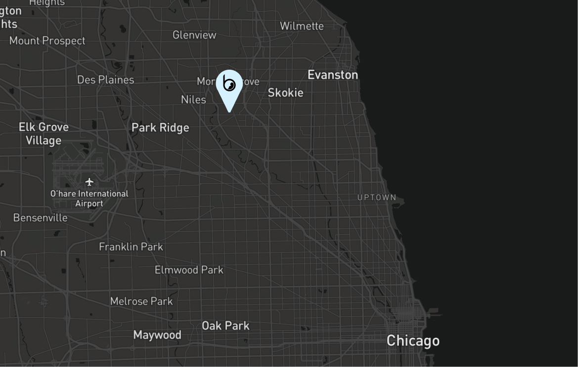 chicago map.png